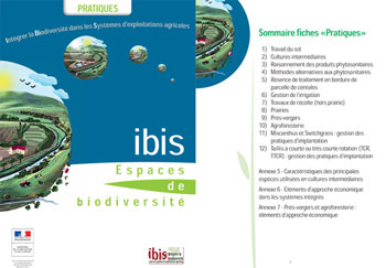 05Brochure pratique ibis